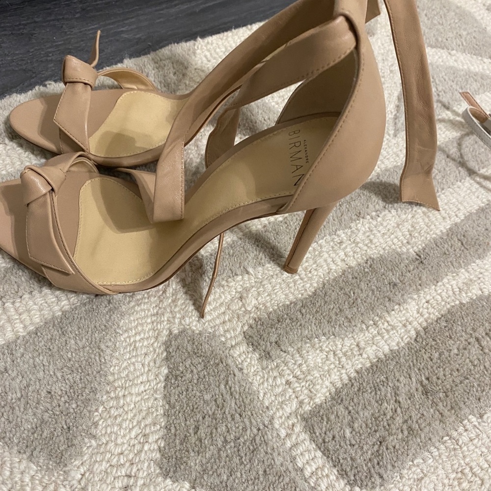 Alexandre birman nude heels